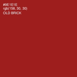 #9E1E1E - Old Brick Color Image