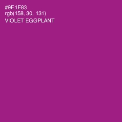 #9E1E83 - Violet Eggplant Color Image