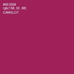 #9E2058 - Camelot Color Image