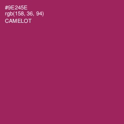 #9E245E - Camelot Color Image