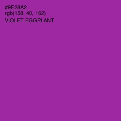 #9E28A2 - Violet Eggplant Color Image