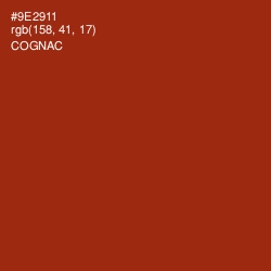 #9E2911 - Cognac Color Image