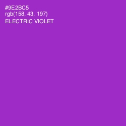 #9E2BC5 - Electric Violet Color Image