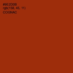 #9E2D0B - Cognac Color Image