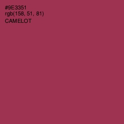 #9E3351 - Camelot Color Image