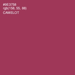 #9E3758 - Camelot Color Image