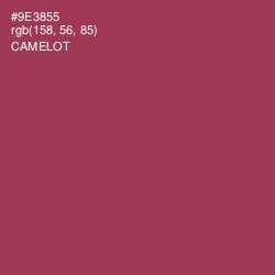 #9E3855 - Camelot Color Image
