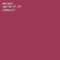 #9E3957 - Camelot Color Image