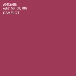#9E3A58 - Camelot Color Image