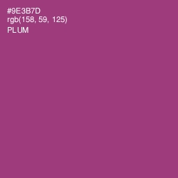 #9E3B7D - Plum Color Image