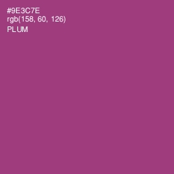 #9E3C7E - Plum Color Image