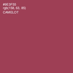 #9E3F55 - Camelot Color Image