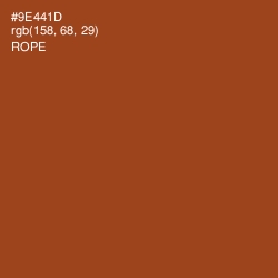 #9E441D - Rope Color Image