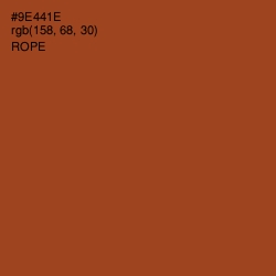 #9E441E - Rope Color Image