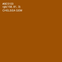 #9E5103 - Chelsea Gem Color Image