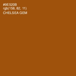 #9E520B - Chelsea Gem Color Image