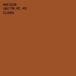 #9E5228 - Cumin Color Image