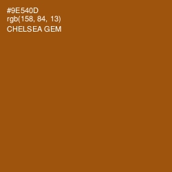 #9E540D - Chelsea Gem Color Image