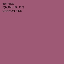 #9E5975 - Cannon Pink Color Image