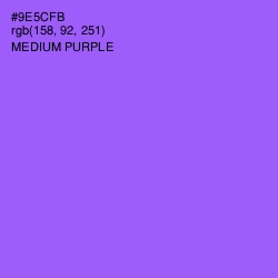 #9E5CFB - Medium Purple Color Image