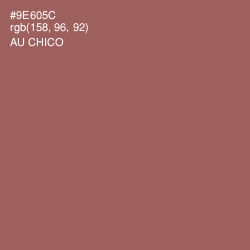 #9E605C - Au Chico Color Image