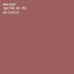 #9E605F - Au Chico Color Image