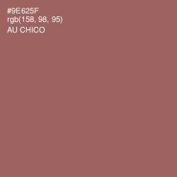 #9E625F - Au Chico Color Image