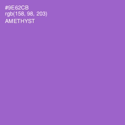 #9E62CB - Amethyst Color Image