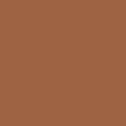 #9E6343 - Leather Color Image