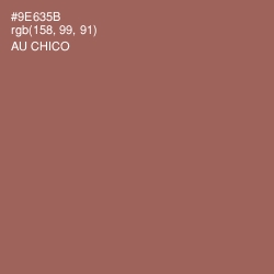 #9E635B - Au Chico Color Image