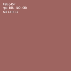 #9E645F - Au Chico Color Image