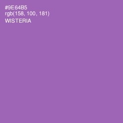 #9E64B5 - Wisteria Color Image