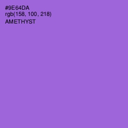 #9E64DA - Amethyst Color Image