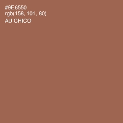 #9E6550 - Au Chico Color Image