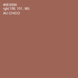 #9E6556 - Au Chico Color Image