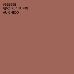 #9E6558 - Au Chico Color Image