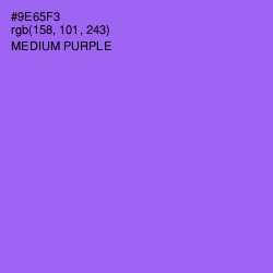 #9E65F3 - Medium Purple Color Image