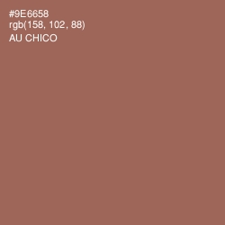 #9E6658 - Au Chico Color Image