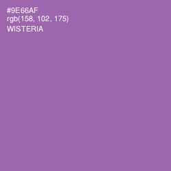 #9E66AF - Wisteria Color Image