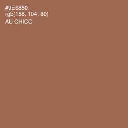 #9E6850 - Au Chico Color Image