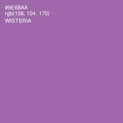 #9E68AA - Wisteria Color Image
