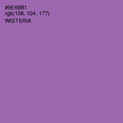 #9E68B1 - Wisteria Color Image