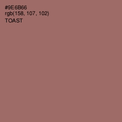 #9E6B66 - Toast Color Image