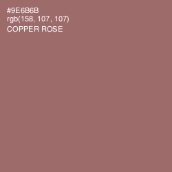 #9E6B6B - Copper Rose Color Image
