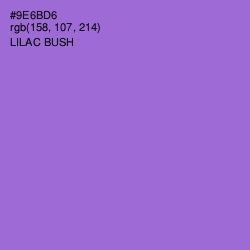 #9E6BD6 - Lilac Bush Color Image