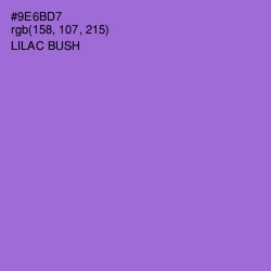 #9E6BD7 - Lilac Bush Color Image