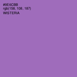 #9E6CBB - Wisteria Color Image