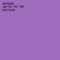 #9E6DBC - Wisteria Color Image