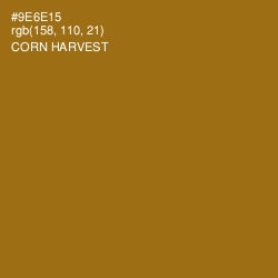 #9E6E15 - Corn Harvest Color Image