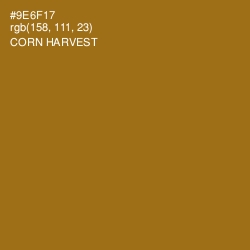 #9E6F17 - Corn Harvest Color Image
